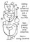 Woodware Craft Collection; Woodware Craft Collection Woodware Clear Singles - Robin Stack; Category:Cling Stamps; Image:2